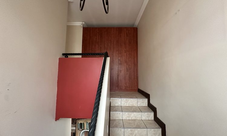 img 1173
