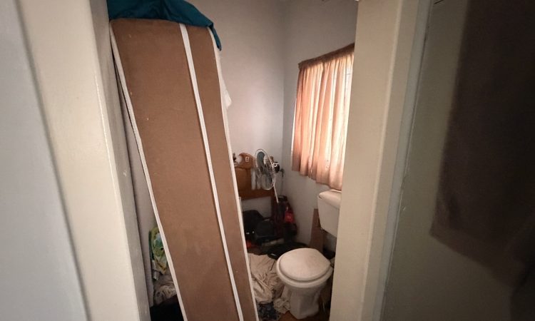 img 0237