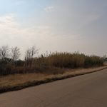 img 1938