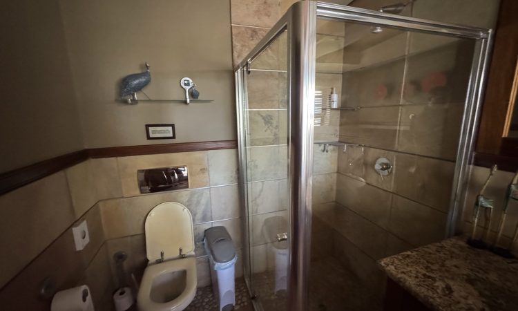 img 4678